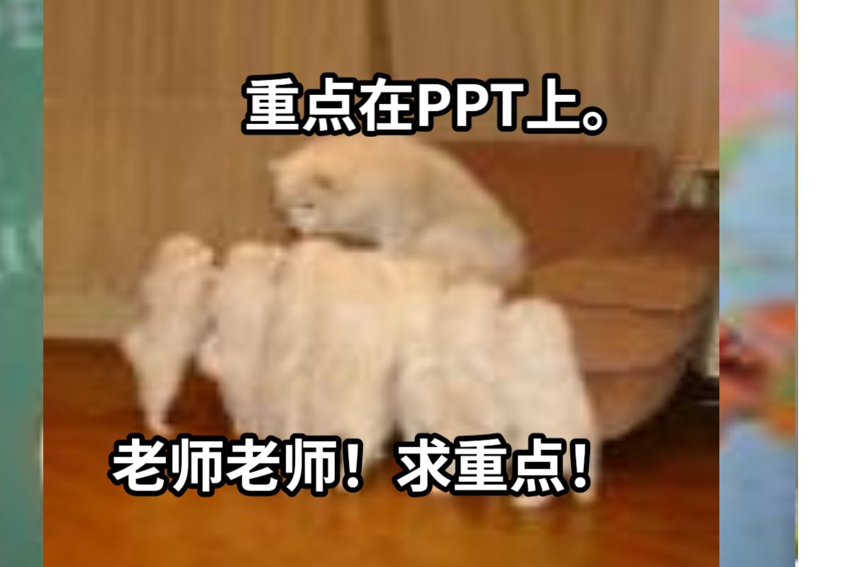 重点在PPT上。老师老师！求重点！