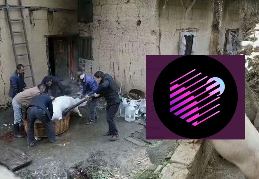 农村猪看杀猪（知道的太多反而不快乐）