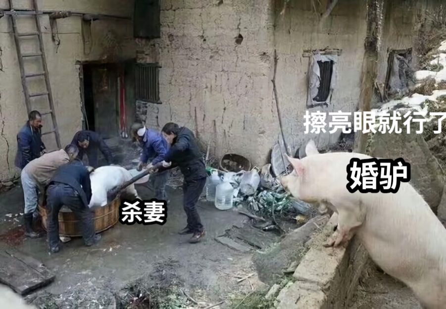 杀妻婚驴擦亮眼就行了