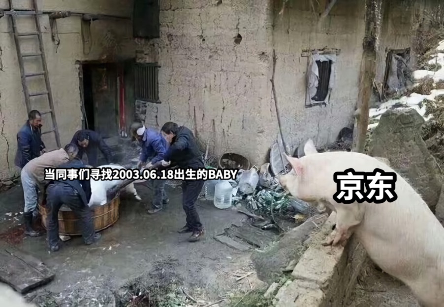 当同事们寻找2003.06.18出生的BABY京东