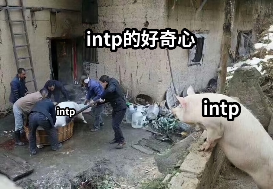 intpintpintp的好奇心