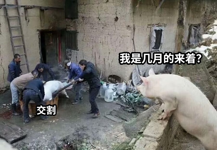 交割我是几月的来着？