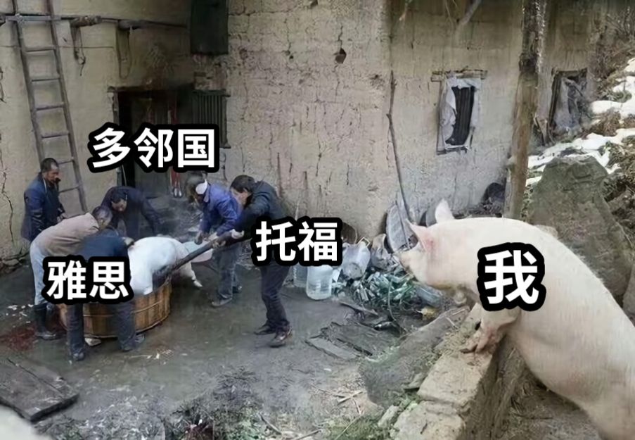 雅思我托福多邻国
