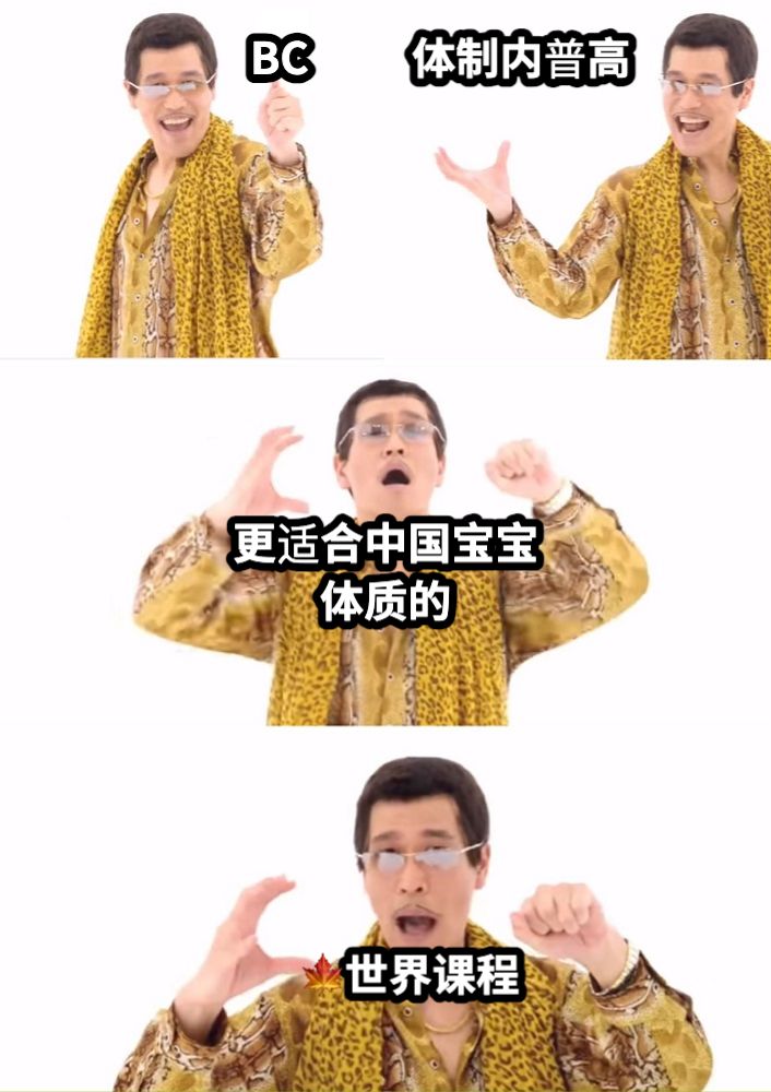 BC体制内普高更适合中国宝宝体质的🍁世界课程
