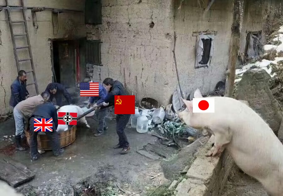 农村猪看杀猪（知道的太多反而不快乐）