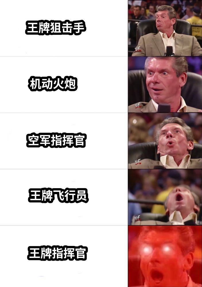 王牌狙击手机动火炮空军指挥官王牌飞行员王牌指挥官