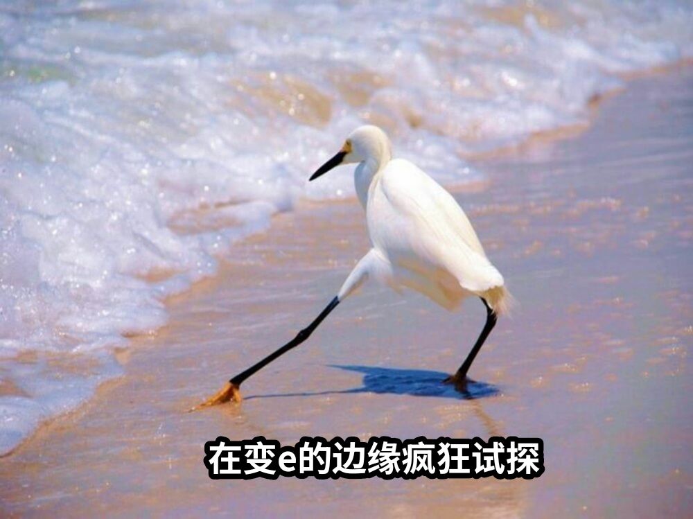 在变e的边缘疯狂试探