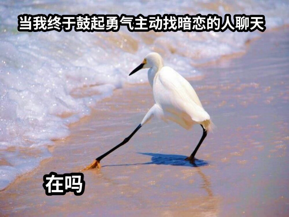 何为主动
