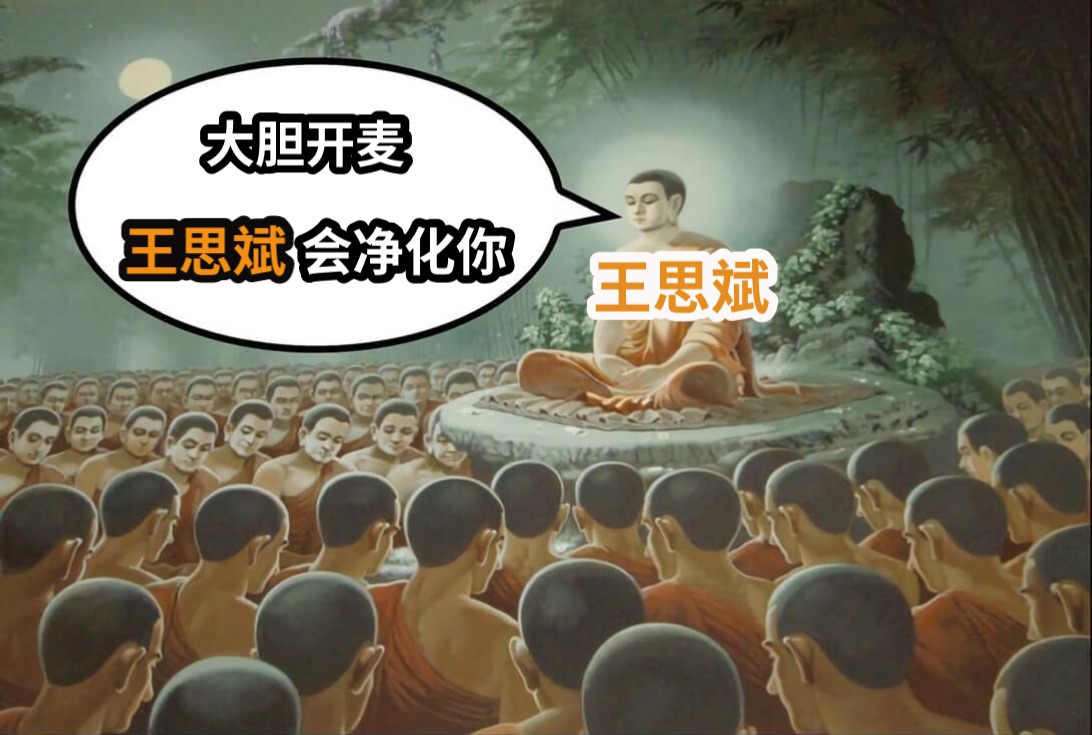 大胆开麦会净化你王思斌王思斌
