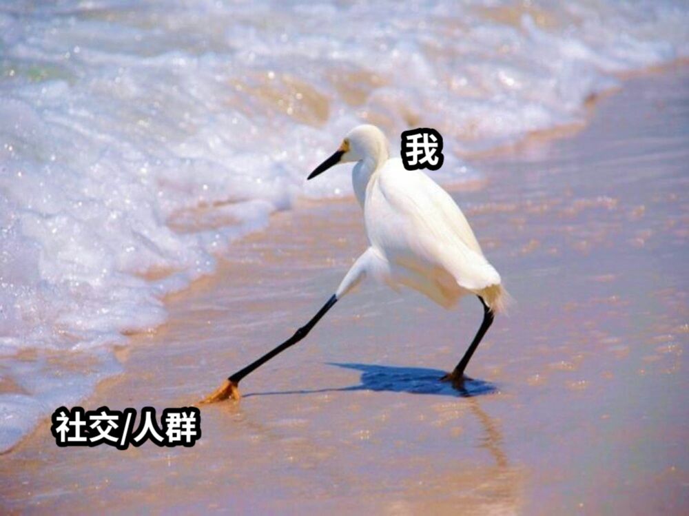 我社交/人群