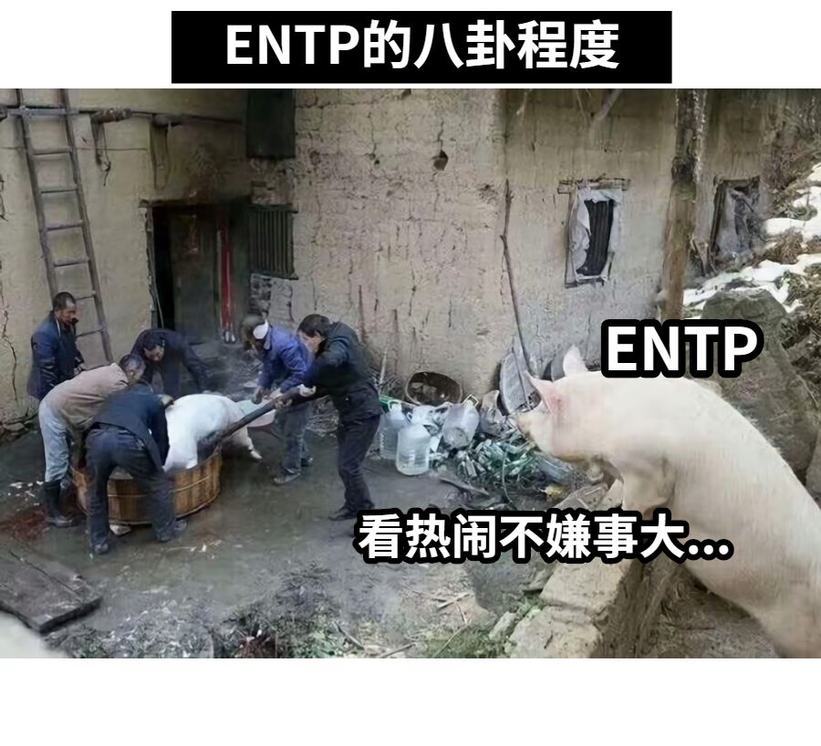 看热闹不嫌事大...ENTPENTP的八卦程度