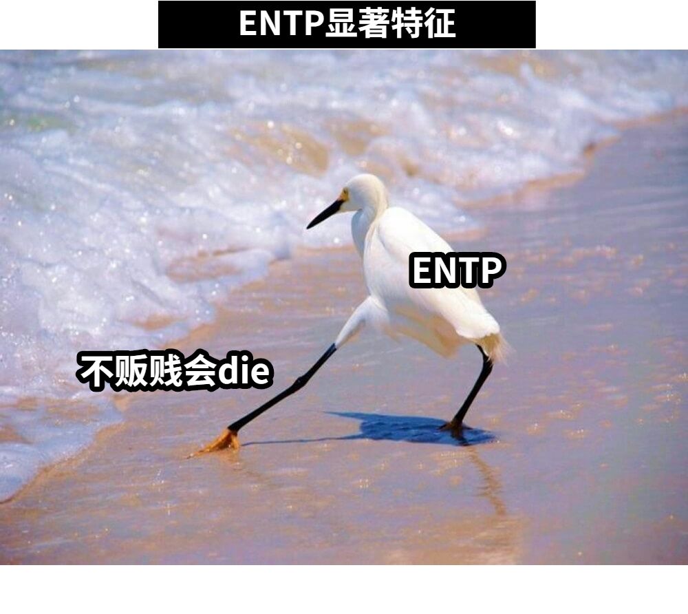 不贩贱会dieENTPENTP显著特征