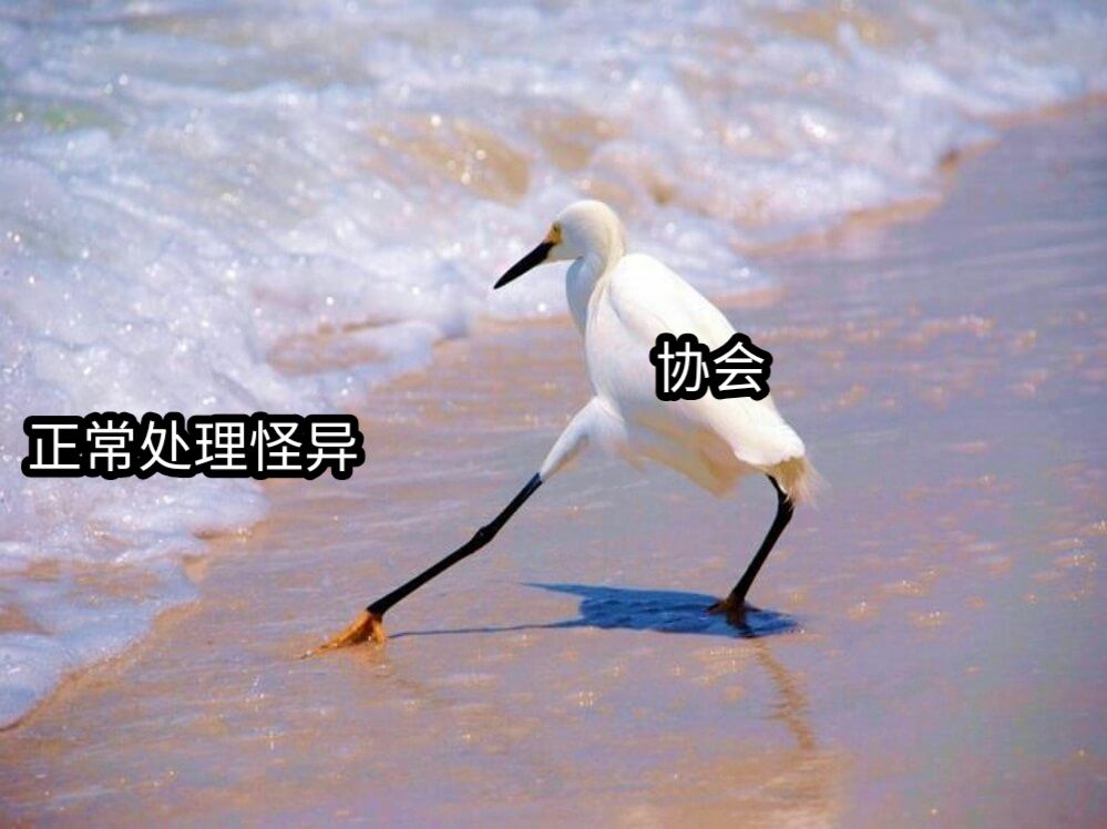 协会正常处理怪异