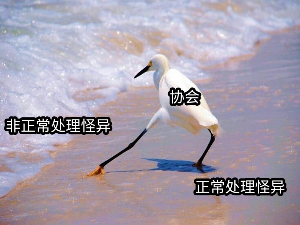 协会非正常处理怪异正常处理怪异
