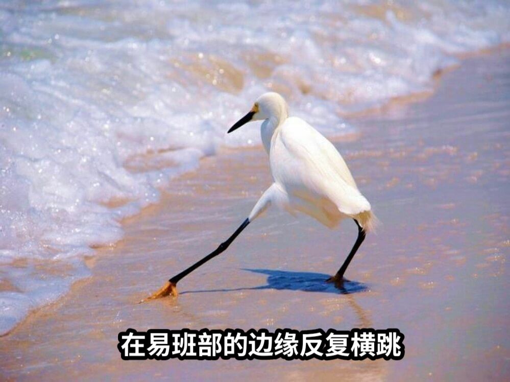 在易班部的边缘反复横跳
