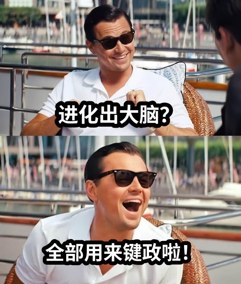 进化出大脑？全部用来键政啦！
