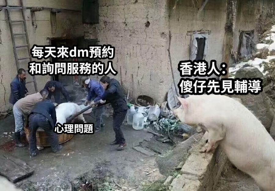 心理問題香港人：傻仔先見輔導每天來dm預約和詢問服務的人
