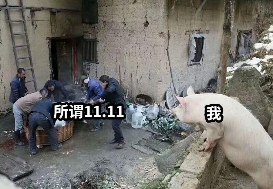 所谓11.11我