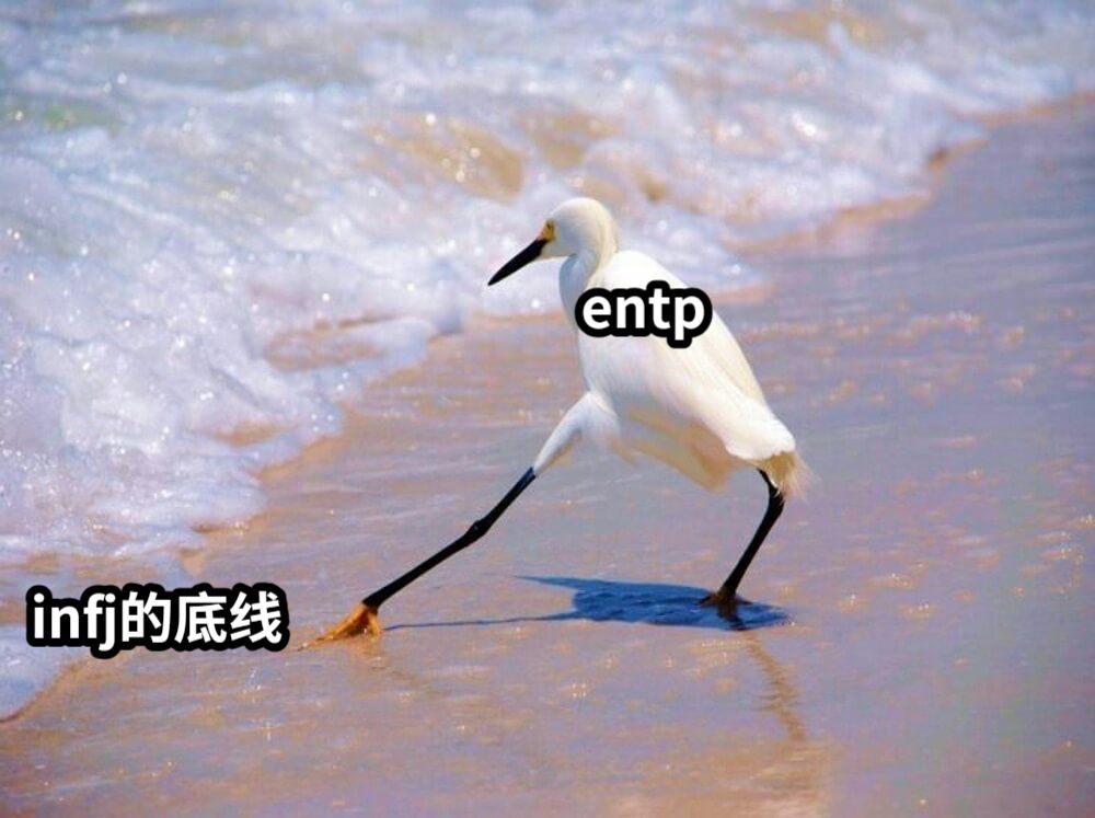 infj的底线entp