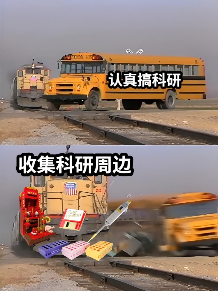 认真搞科研收集科研周边