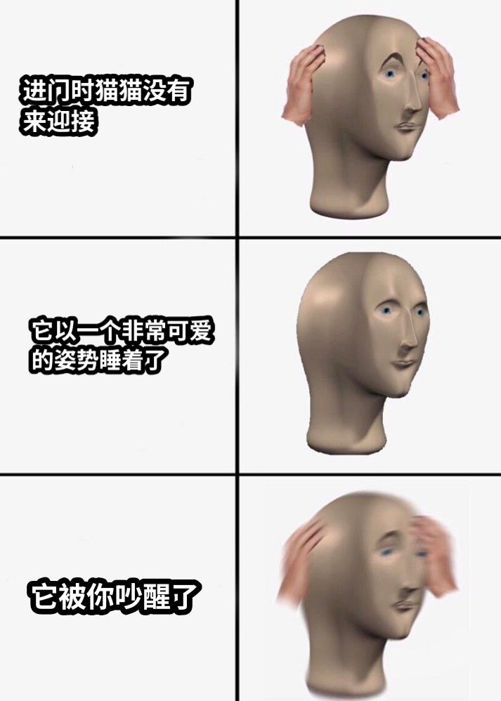 猫猫