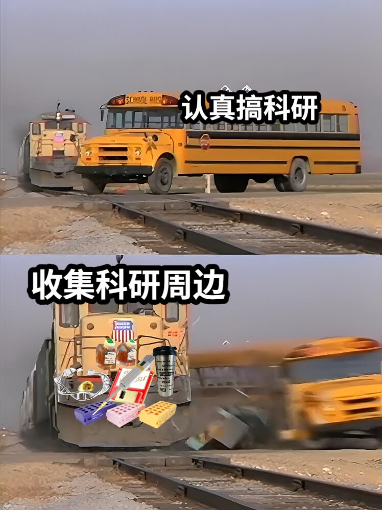 认真搞科研收集科研周边