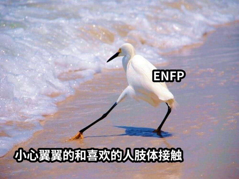 ENFP小心翼翼的和喜欢的人肢体接触