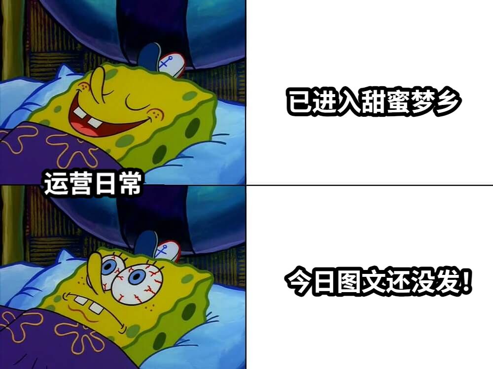 已进入甜蜜梦乡今日图文还没发！运营日常