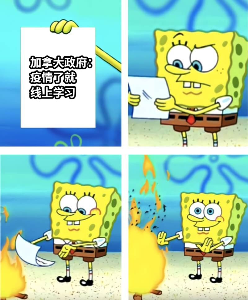 加拿大政府：疫情了就线上学习