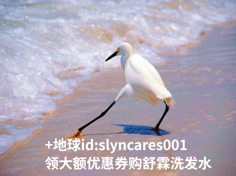 +地球id:slyncares001领大额优惠券购舒霖洗发水