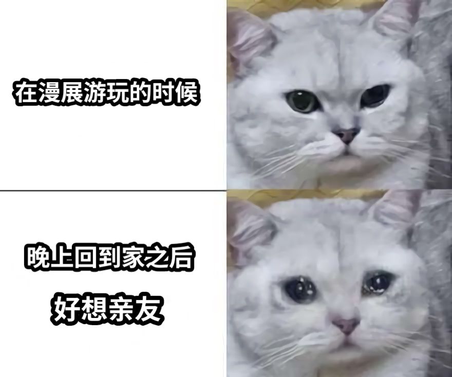 在漫展游玩的时候晚上回到家之后好想亲友