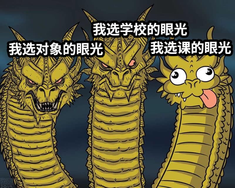 我选对象的眼光我选学校的眼光我选课的眼光