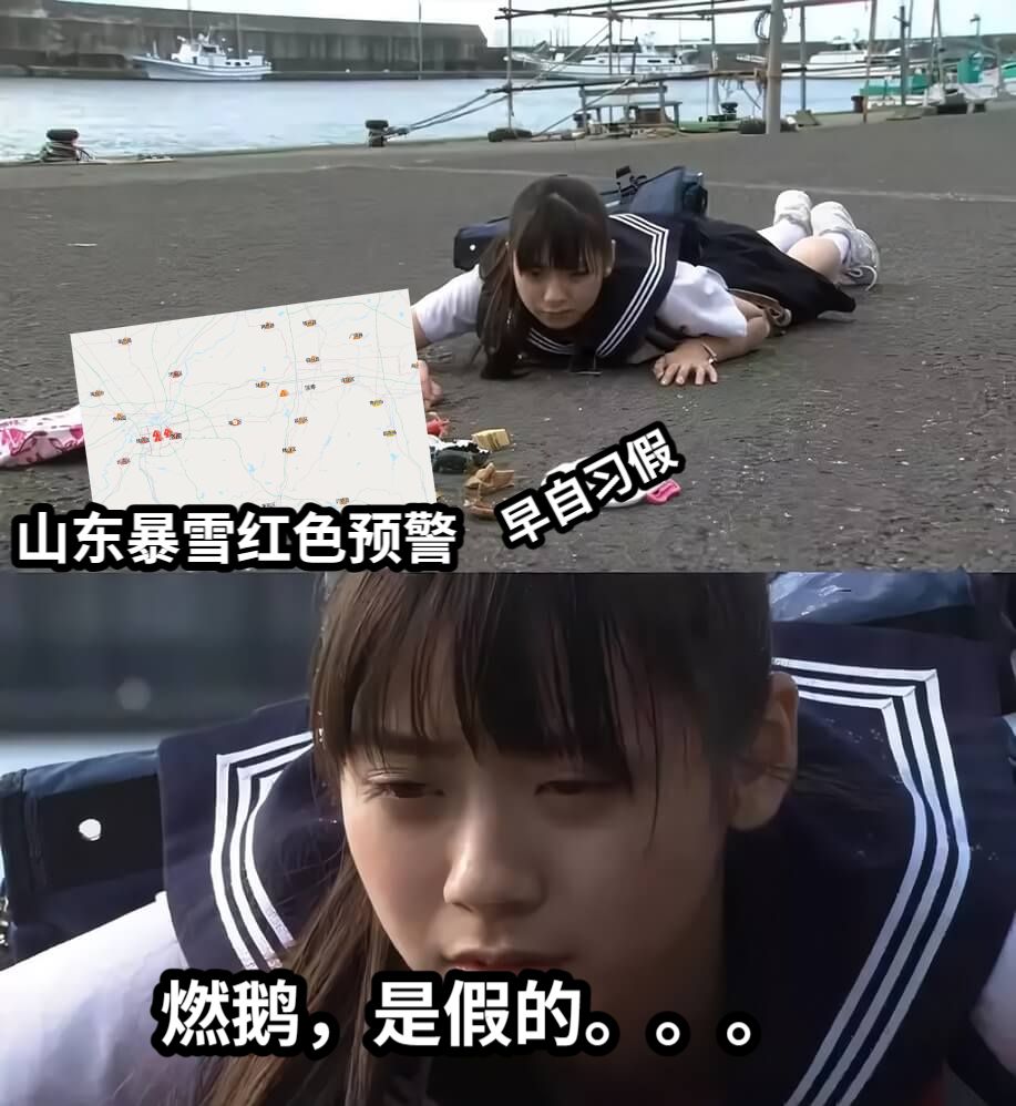 山东暴雪红色预警燃鹅，是假的。。。早自习假