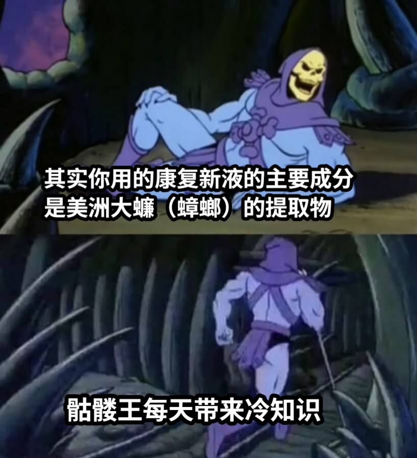 其实你用的康复新液的主要成分是美洲大蠊（蟑螂）的提取物骷髅王每天带来冷知识