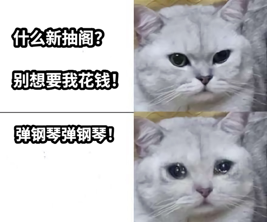 什么新抽阁？别想要我花钱！弹钢琴弹钢琴！