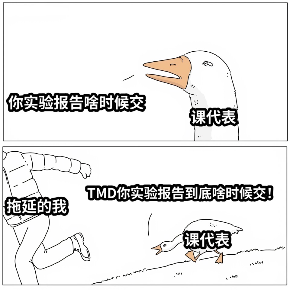 你实验报告啥时候交TMD你实验报告到底啥时候交！课代表课代表拖延的我