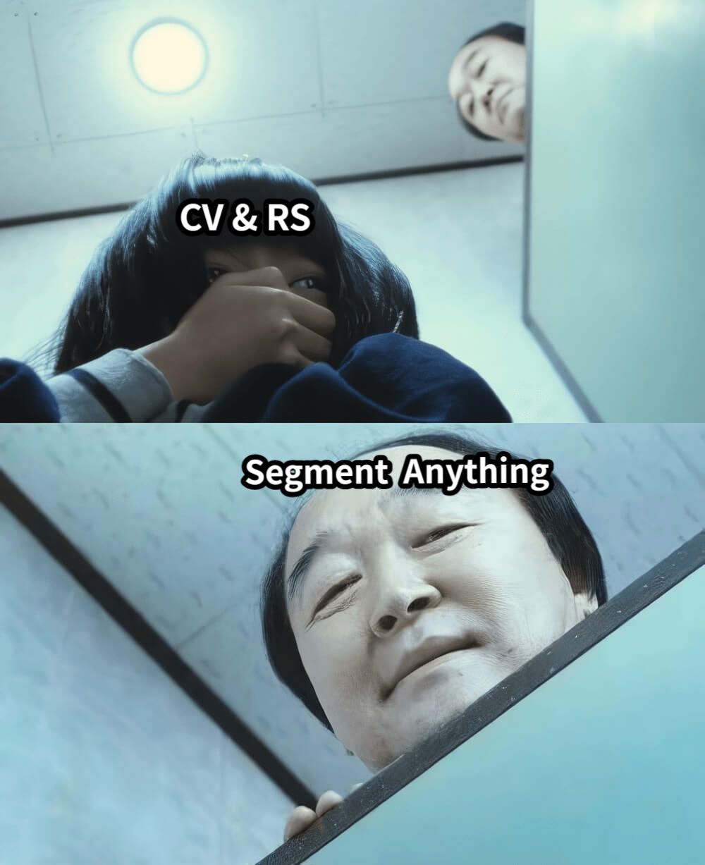 CV & RSSegment  Anything