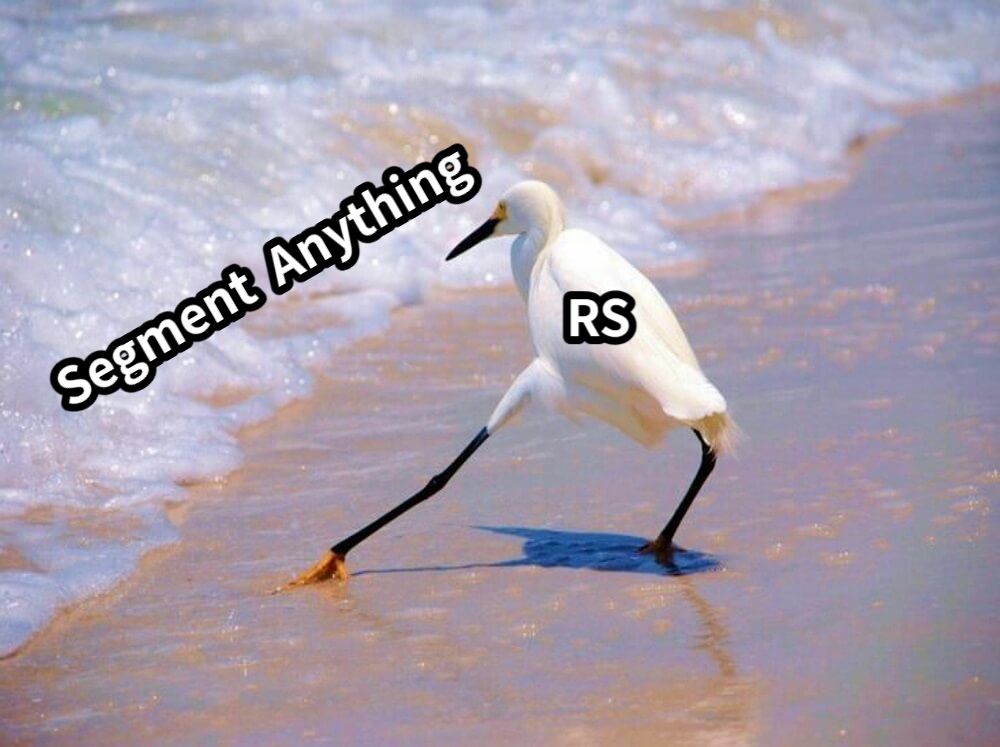 RSSegment  Anything