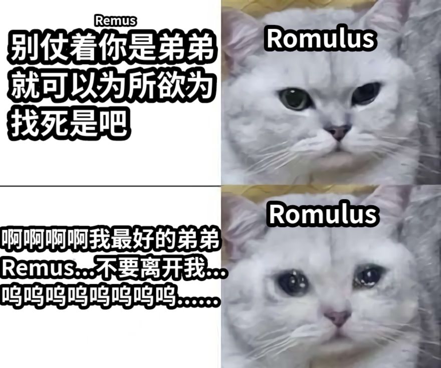 别仗着你是弟弟就可以为所欲为找死是吧啊啊啊啊我最好的弟弟Remus...不要离开我...呜呜呜呜呜呜呜呜......RemusRomulusRomulus