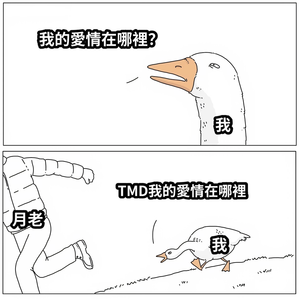 我的愛情在哪裡？TMD我的愛情在哪裡我我月老