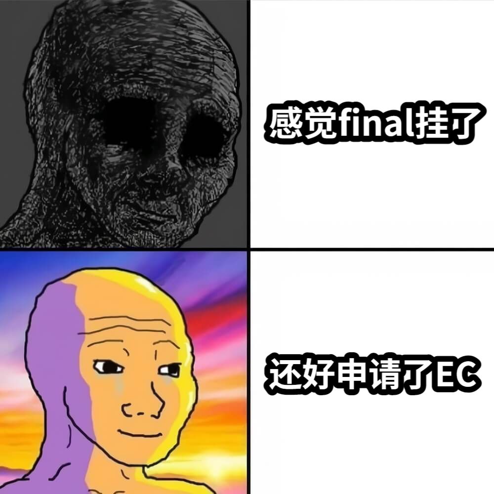 感觉final挂了还好申请了EC