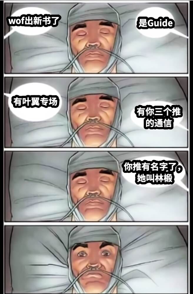 wof出新书了是Guide有叶翼专场有你三个推的通信你推有名字了，她叫林椴