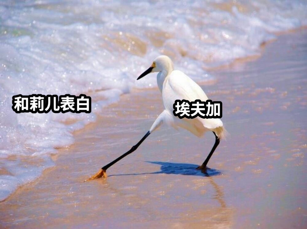 埃夫加和莉儿表白