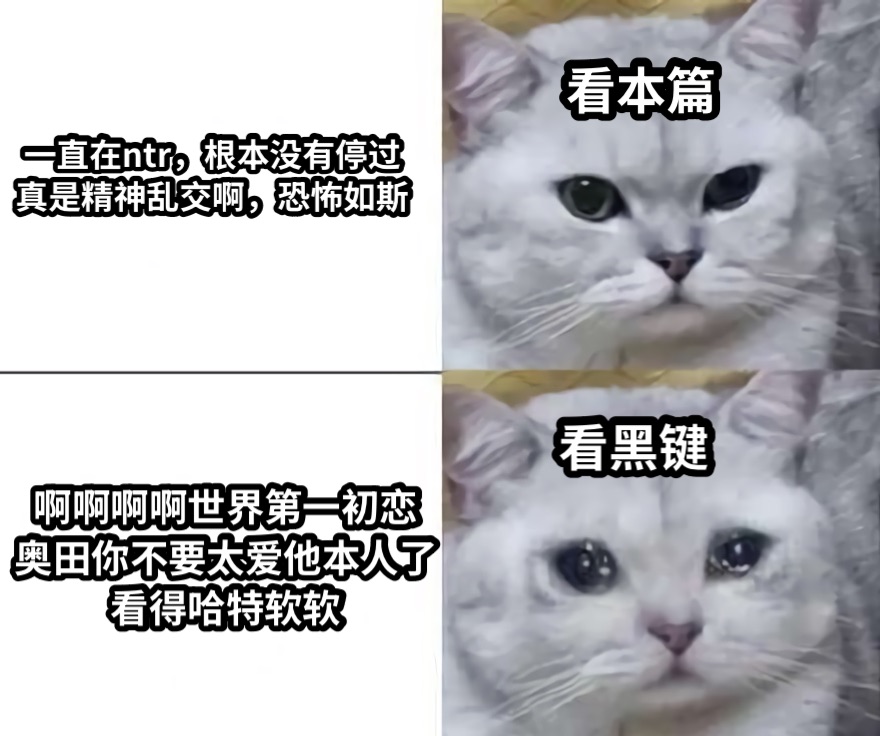 看本篇看黑键一直在ntr，根本没有停过真是精神乱交啊，恐怖如斯啊啊啊啊世界第一初恋奥田你不要太爱他本人了看得哈特软软