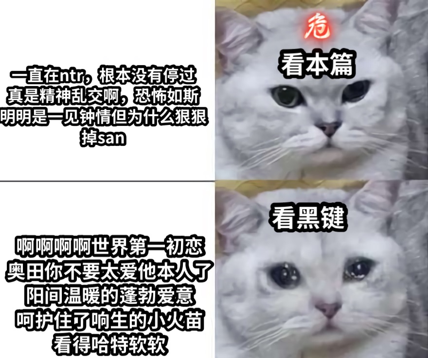 看本篇看黑键一直在ntr，根本没有停过真是精神乱交啊，恐怖如斯明明是一见钟情但为什么狠狠掉san啊啊啊啊世界第一初恋奥田你不要太爱他本人了阳间温暖的蓬勃爱意呵护住了响生的小火苗看得哈特软软