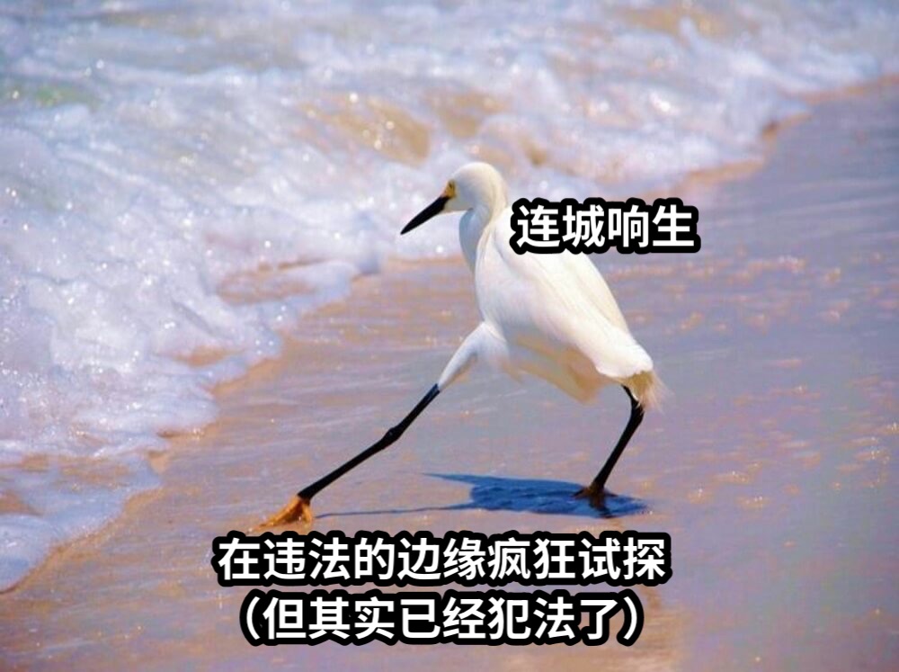 连城响生在违法的边缘疯狂试探（但其实已经犯法了）