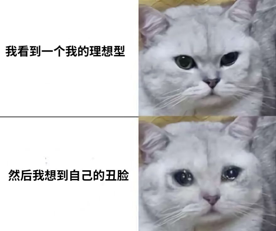我看到一个我的理想型然后我想到自己的丑脸