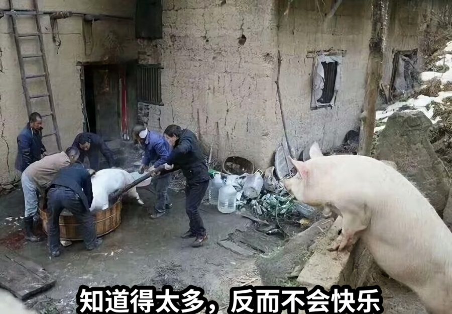 知道得太多，反而不会快乐