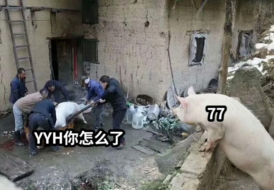 YYH你怎么了77