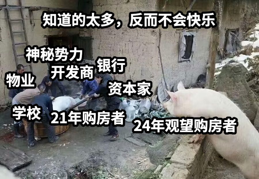 21年购房者24年观望购房者开发商物业银行资本家学校知道的太多，反而不会快乐神秘势力